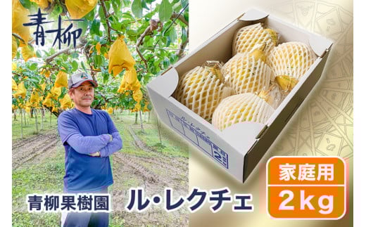 【2025年先行予約】新潟特産 幻の洋梨ル・レクチェ 家庭用 2kg（5〜7玉）〈11月下旬～順次出荷〉 ルレクチェ ル・レクチエ ルレクチエ 西洋梨 新潟県産 新潟産 果物 フルーツ 冬の味覚 産地直送加茂市 青柳果樹園