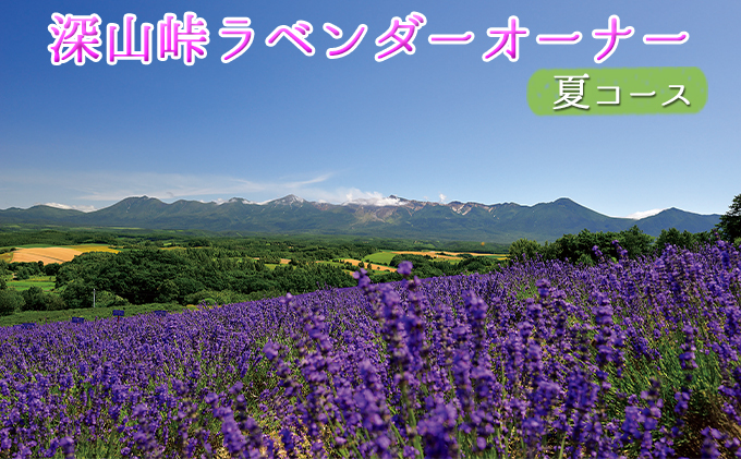 ラベンダーオーナー制度（夏コース）