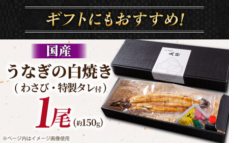 国産 上うなぎ 白焼き 1尾 約150g / 鰻 ウナギ うなぎ 白焼き / 御嵩町 / 鰻 季節料理 魚邦[AVBH020]