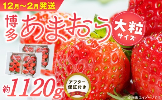 福岡県産あまおういちご　約280g以上×4パック（大粒）【12月～2月発送】 _ いちご あまおう 約280g 以上 4パック 大粒 果物 フルーツ みずみずしい ジューシー 甘み 酸味 濃厚 ストロベリー パフェ ショートケーキ パンケーキ スムージー サンドイッチ ジャム お菓子作り お取り寄せ 福岡県 久留米市 送料無料 _Fi054-01