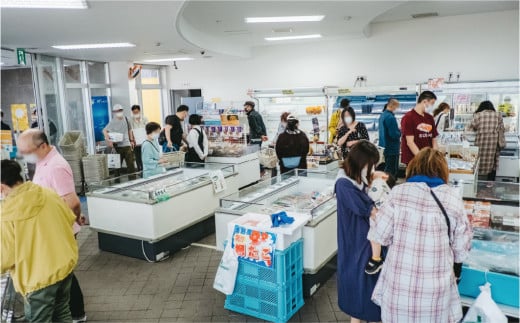 【国内消費拡大求む】北海道サロマ湖産【COYSTER（むき身）×1+2年物殻付き龍宮牡蠣3kg】カキナイフ付　カキ　海鮮　魚貝　国産　生食　剥き身　生牡蠣　蒸し牡蠣　冷蔵　産地直送　サロマ湖　オホーツ