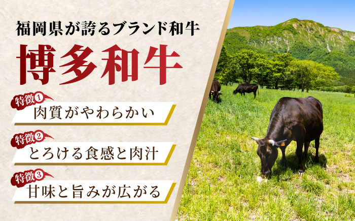 【6回定期便】ステーキ食べ比べ 博多和牛 赤身 ロース ステーキ 計700g【馬庵このみ】和牛 牛肉 食べ比べ ステーキ 希少部位 赤身 ロース 霜降り 肉 定期便