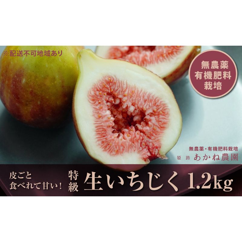 【ふるさと納税】【栽培期間中 無農薬・有機肥料栽培】皮ごと食べれて甘い！あかね農園「 特級 生いちじく」約 1.2kg　お届け：2026年8月20日～2026年10月15日まで