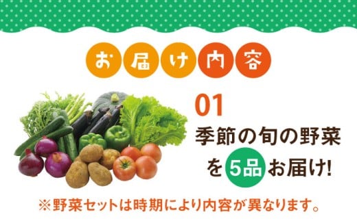 お米 白米 米 白米 野菜 セット 新鮮 季節野菜 ごはん 食べ比べ 朝食 昼食