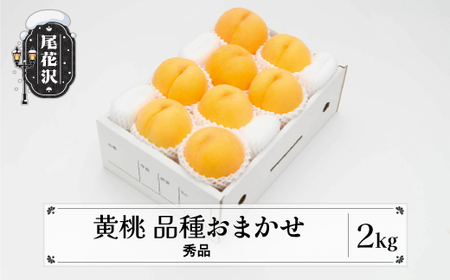 先行予約 もも 有袋黄桃 秀品 品種おまかせ 2kg 化粧箱入 フルーツ 果物 2025年産 令和7年産 山形県産 桃 黄桃 モモ 送料無料 ※沖縄・離島への配送不可 ns-mootx2
