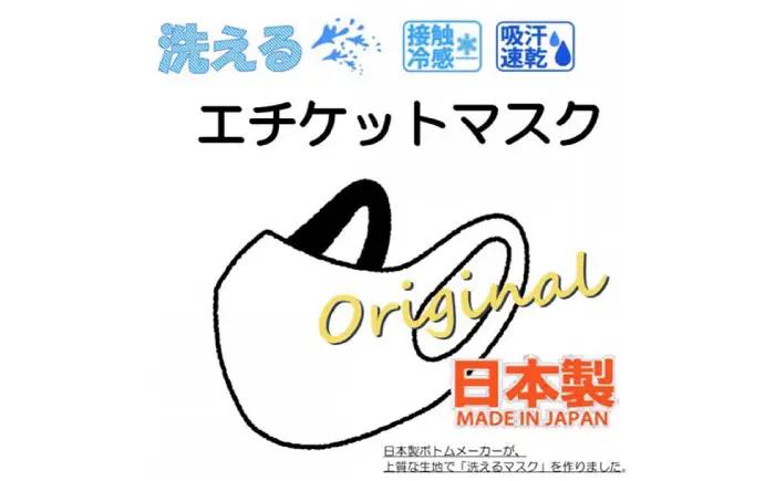 マスク エチケットマスク レギュラーサイズ 10枚 [ANEA008] マスク
