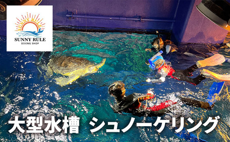 シュノーケリング体験 大型水槽 ウミガメ 千葉市 シュノーケリング体験