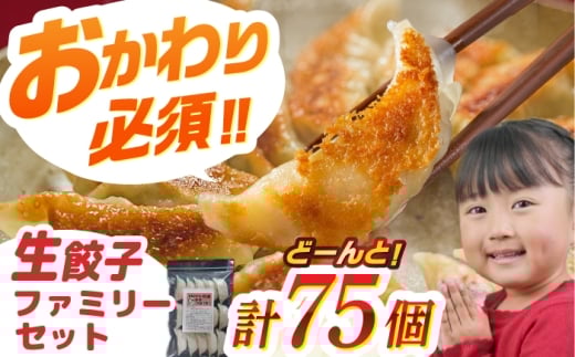 餃子 生餃子専門店「新助」の！ファミリーセット(75個入り)　ぎょうざ ギョーザ 冷凍 生餃子 国産肉 国産野菜 和風だし 旨味 パリパリ モチモチ 皮 にんにく控えめ 簡単調理 焼く 茹でる 揚げる おかず おつまみ パーティー ギフト プレゼント 贈り物 贈答 お返し 内祝い お祝い おすすめ 人気 岐阜市 / ドルフィン株式会社 [ANHL002]