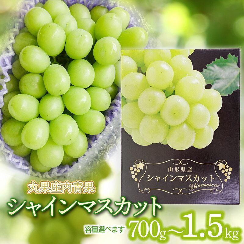 【ふるさと納税】【令和7年産先行予約】シャインマスカット 容量選べます［約700g〜約1.5kg］　山形県庄内産