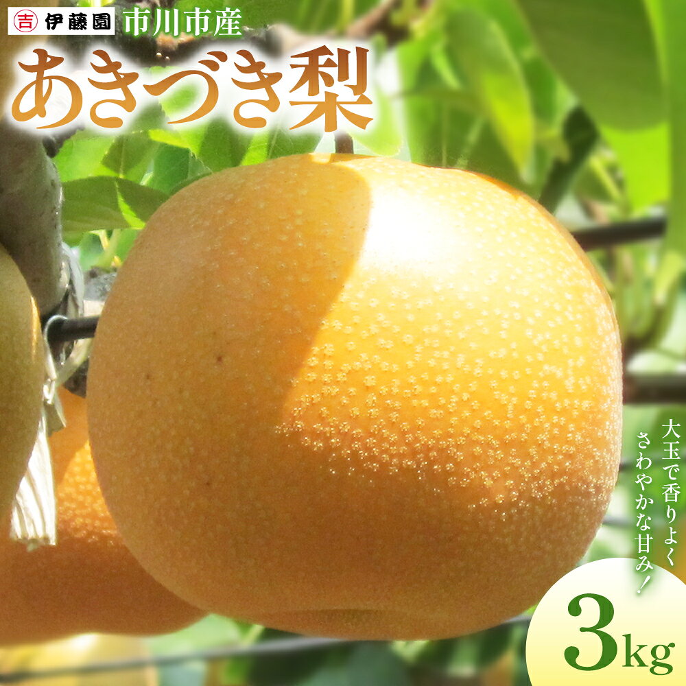 【ふるさと納税】市川の梨　あきづき　5玉～7玉　【12203-0459】 なし ナシ 市川のなし 果物 くだもの フルーツ 市川市 梨の伊藤園