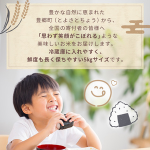 【定期便】令和7年産　豊かな郷の近江米（みずかがみ）5kg×4ヶ月連続 お米 4回 箱入り 