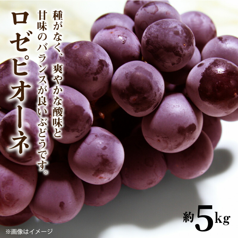 M02-0067_ロゼピオーネ 約5kg