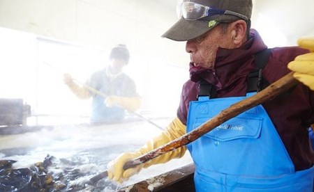 広田湾漁協からお届け！色んな部位の食べ比べ海藻セット