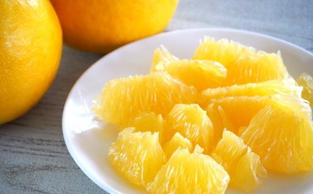 結（ゆい）果樹園の河内晩柑9kg（家庭用）