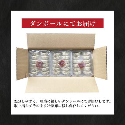 ふるさと納税 下関市 訳あり 黒豚餃子 12粒×15パック(180粒) 国産餃子 冷凍 小分けパック たれ付き IB006 |  | 03