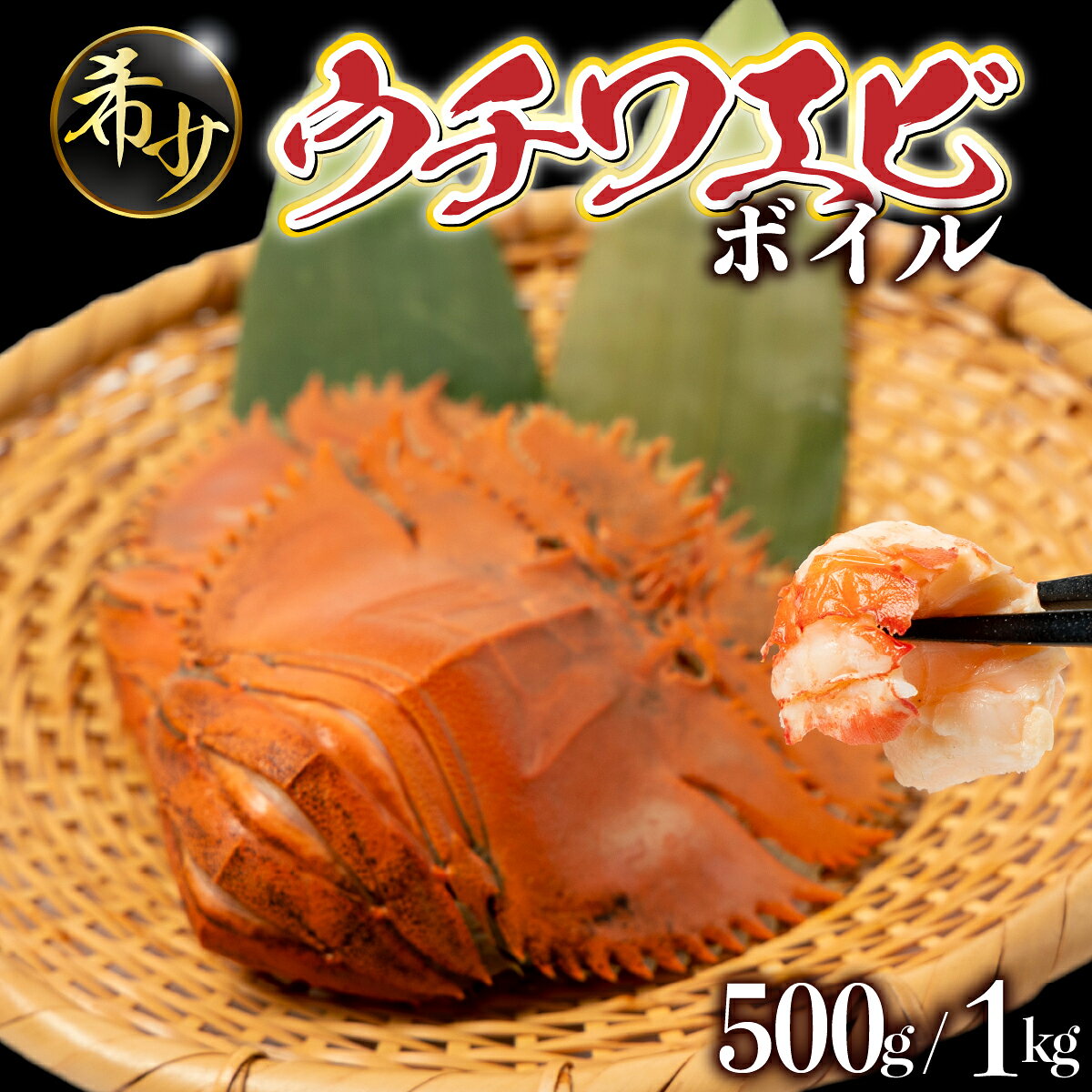 【ふるさと納税】＜選べる容量＞ウチワエビ（ボイル）500g(7尾前後)/1000g(10～14尾前後)｜海老 えび 国産 東洋町産 ゆで 茹で うちわえび 新鮮 海鮮 高知県 東洋町 四国 お取り寄せ 送料無料