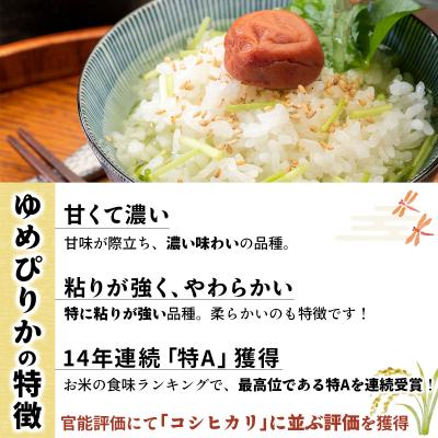 ふるさと納税 岩見沢市 令和6年産!峯さんの「じゅんかん育ち」ゆめぴりか&ななつぼし 各5kg |  | 01