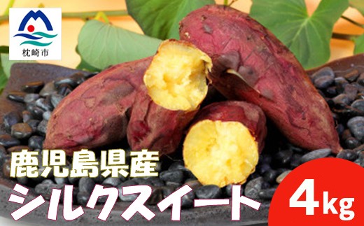 
                  本場鹿児島さつまいも＜シルクスイート＞4kg　2026年10月より発送Z0-13_ サツマイモ 人気品種 鹿児島県 さつま芋 焼き芋 スイーツ 【1487869】
                