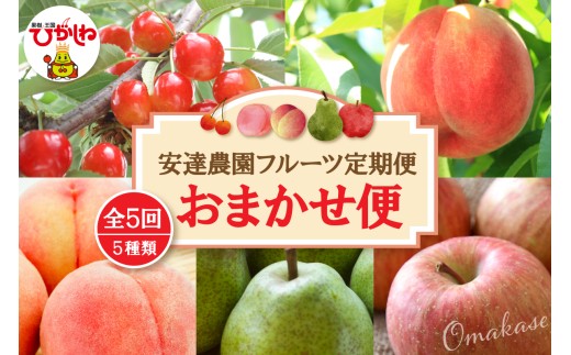 【2027年 5回定期便】安達農園フルーツ定期便 おまかせ便 山形県 東根市 安達農園提供 hi037-011-r9 さくらんぼ 佐藤錦 もも 桃 ピーチ 品種お任せ ラフランス 西洋梨 洋ナシ 洋なし りんご サンふじ フルーツ 果物 くだもの 定期便 2027年産 令和9年 セット コース 先行受付 人気 ふるさと納税