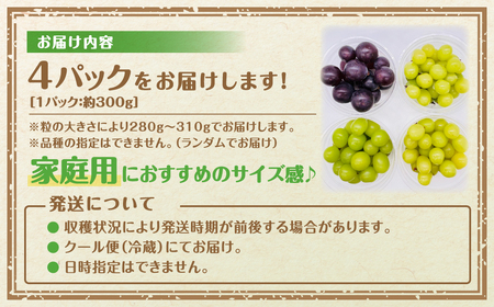 【先行予約】 ぶどう食べ比べパック 約300g×4パック (訳あり粒タイプ) 10月上旬より順次発送 粒パック シャインマスカット バイオレットキング 巨峰 ピオーネ マイハート ゴルビー クイーンニ