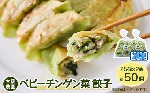 
大橋農園のベビーチンゲン菜餃子 25個入×2袋 冷凍【1370441】
