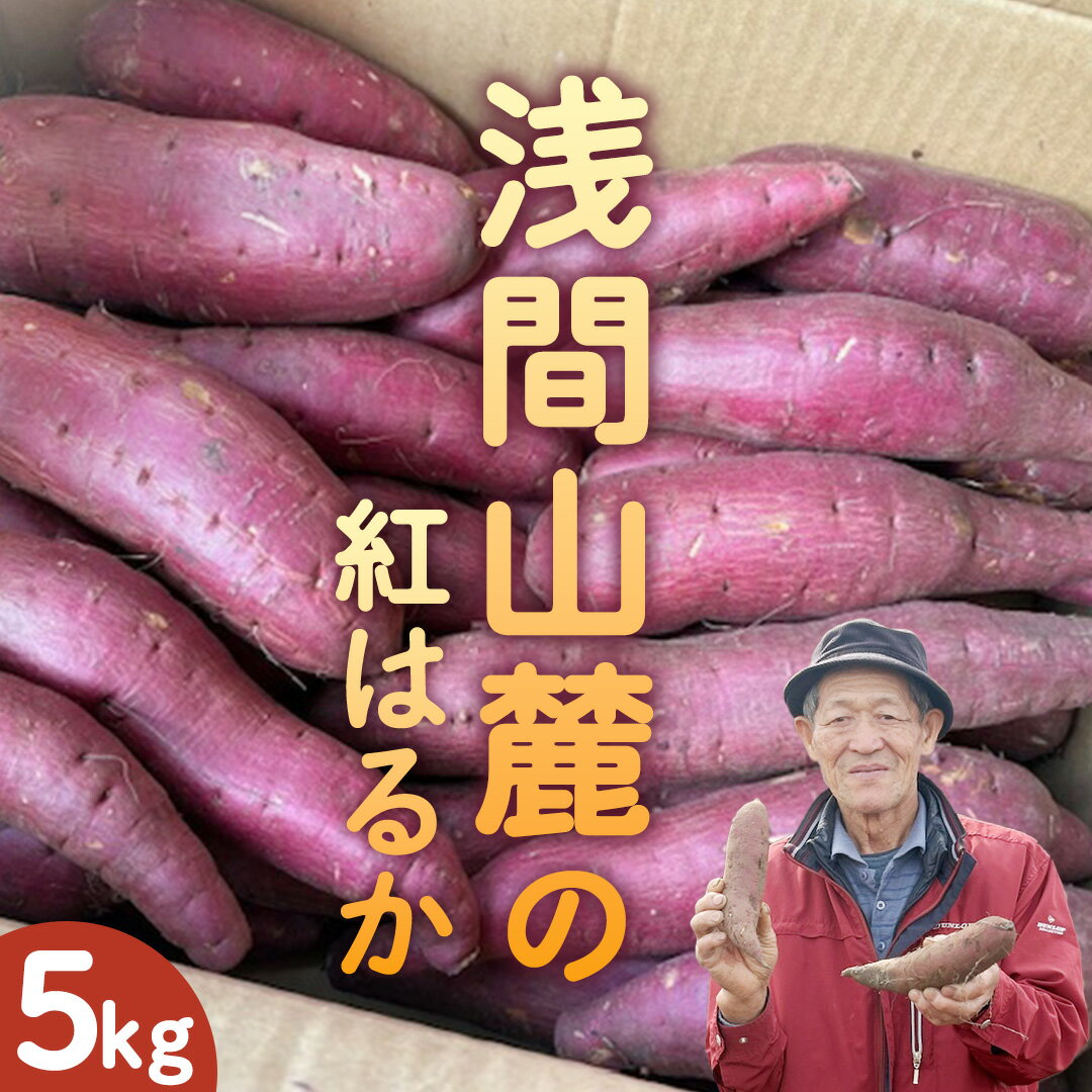 【ふるさと納税】嬬恋産 紅はるか 約 5kg (目安： 15-20本 ) サツマイモ さつまいも 産地直送 お取り寄せ 通販 高原野菜 野菜 いも お芋