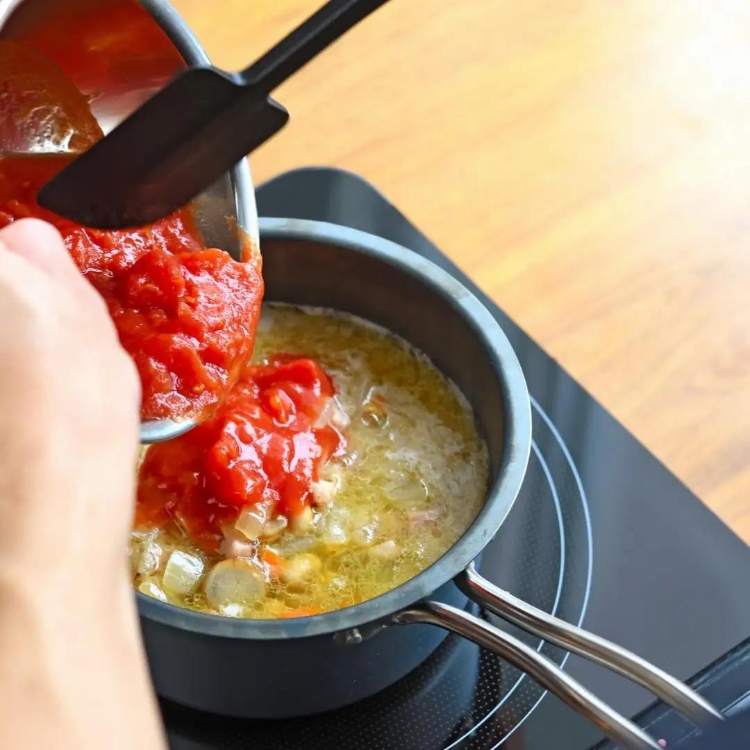 TE2NABE ソースパン16cm 鉄鍋 無水調理 特殊窒素加工で錆びにくい 鍋 キッチン用品 新生活 一人暮らし 燕三条製  [プリンス工業] 【021S041】