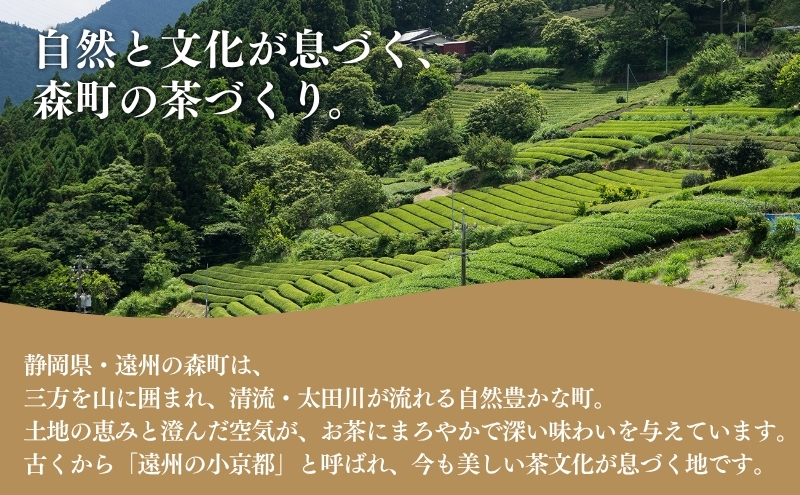 お茶 いしだ茶屋 訳あり 深蒸し茶 10袋 セット まとめ買い