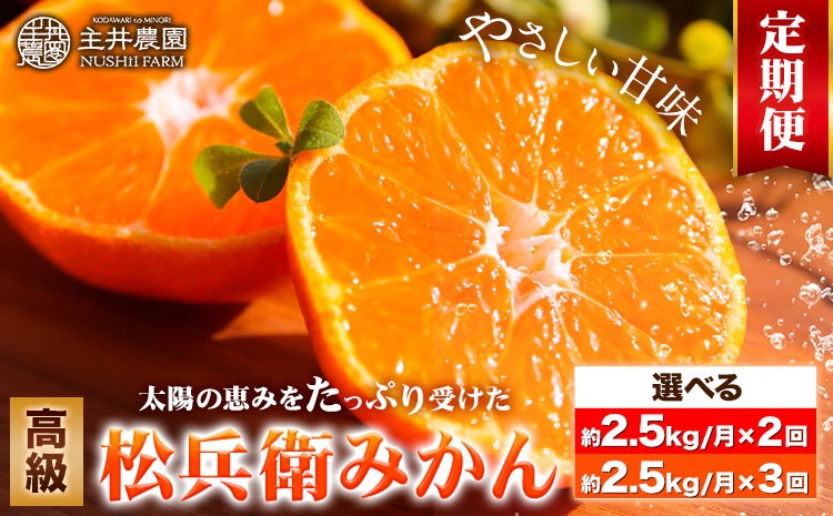 
                  選べる 主井農園の高級松兵衛みかん 約2.5kg 定期便 2.5kg×2回 または 2.5kg×3回 S～2Lサイズ(サイズおまかせ)《11月中旬-1月上旬頃出荷》主井農園 和歌山 和歌山みかん みかん ミカン 蜜柑 柑橘 果物 フルーツ
                