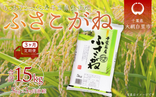 ＜3ヶ月定期便＞千葉県産「ふさこがね」5kg×3ヶ月連続 計15kg ふるさと納税 米 定期便 5kg ふさこがね 千葉県 大網白里市 送料無料