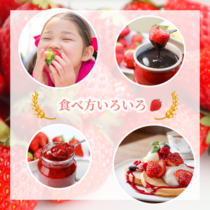 あまおう苺280g×2パック あまおう｜あまおう いちご TJI	【2月発送】																														 																あまおう苺									