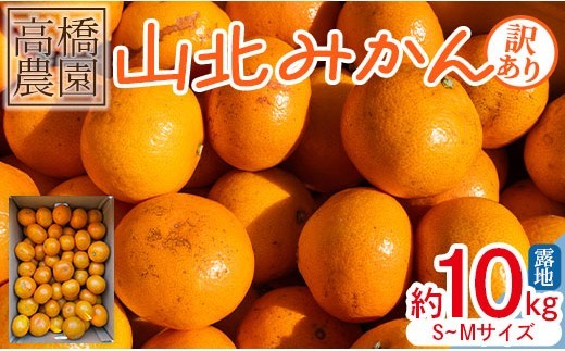 
                  【2026年11月中旬より順次配送】みかん 10ｋｇ 山北みかん 訳あり 露地(Ｓ～Ｍ) - みかん ミカン 小玉みかん 大玉みかん 高知県 香南市 果物 フルーツ ミカン 蜜柑 柑橘 家庭用 自宅用 新鮮 農家直送 露地 1万円以上 10000円以上 ブランドみかん 人気 糖度 訳あり th-0032
                