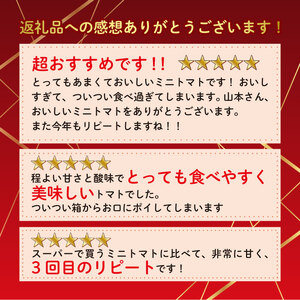トマト 予約受付 計3.5kg ミニトマト