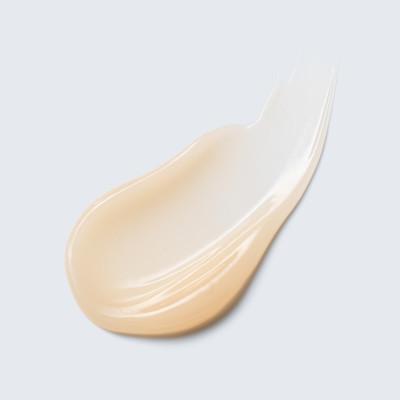 ふるさと納税 茨城県 エスティ ローダー アドバンス ナイト リペア アイ ジェル SMR コンプレックス 15mL |  | 01