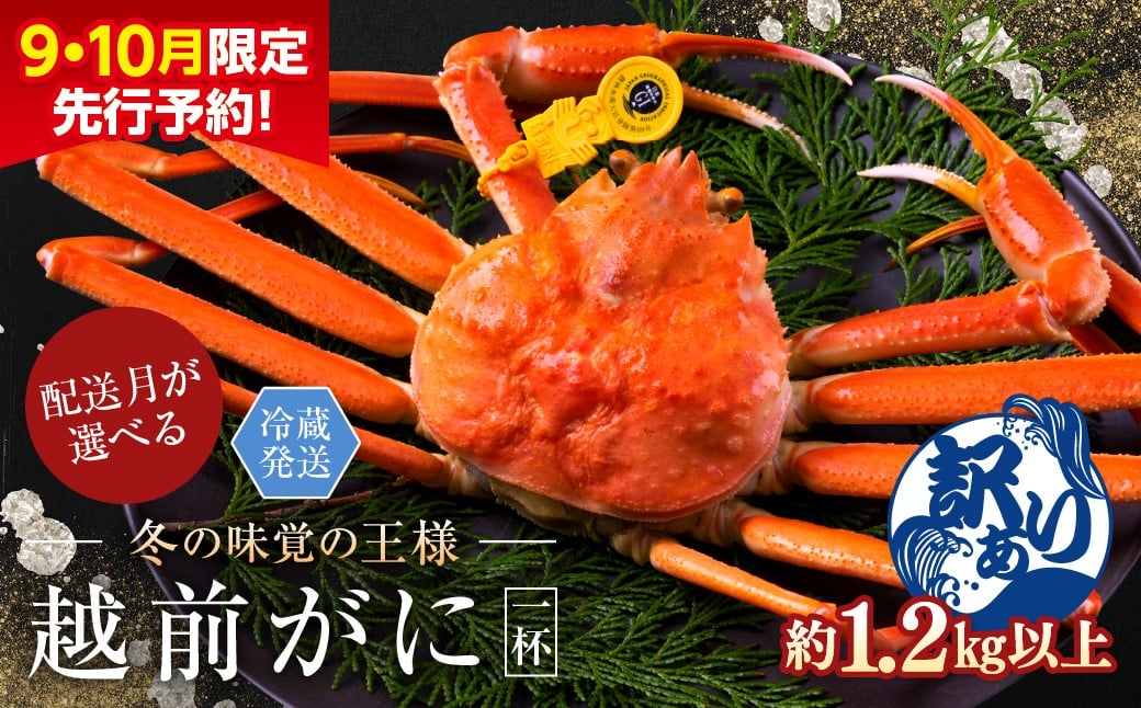 
            【月指定可】【先行予約 9月10月限定】越前がに（オス）「ずわいがに」特特大サイズ（1.2kg以上） 訳あり 1杯
          