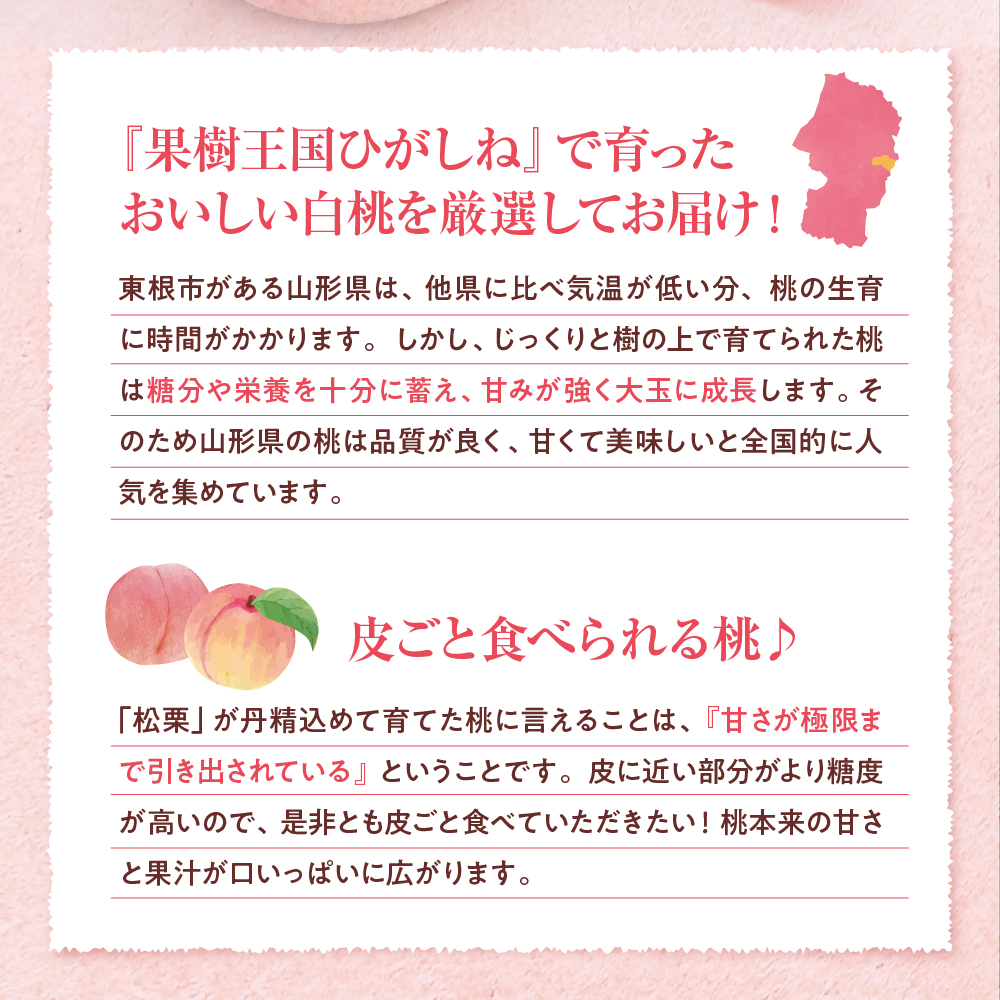 【2025年産　先行予約】白桃 品種おまかせ 訳あり2kg(硬め) 山形県 東根市 hi004-hi062-023-2_イメージ3