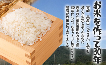 定期便 無洗米 米 令和8年産 無洗米 夢つくし 5kg 3回 定期便 精米 福岡県 みやこ町産 チャック付き チャック 防虫 ごはん おにぎり 福岡 九州 グルメ お取り寄せ