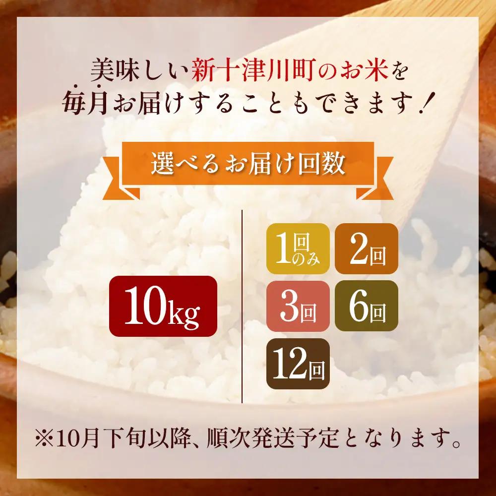 【令和8年度産】ふっくりんこ玄米定期便  (10kg×6回)【11049】