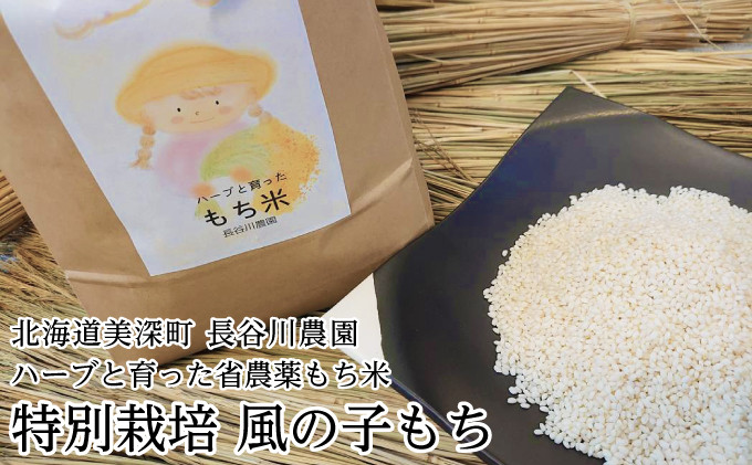 
[№5894-0214]ハーブと育った省農薬の特別栽培もち米「風の子もち」5kg×1【北海道美深町】長谷川農園
