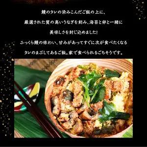 うなぎひつまぶし E07005