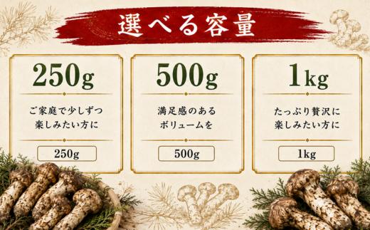 松茸 国産松茸 天然松茸 訳あり 訳あり松茸 訳あり天然松茸 250g 国産天然松茸 岩手県産松茸 岩手町産松茸 まつたけ マツタケ 天然まつたけ 国産まつたけ 先行予約 2026年発送 秋の味覚 きのこ キノコ 家庭用 自宅用 規格外 不揃い 松茸ご飯 松茸ごはん 焼き松茸 土瓶蒸し 天ぷら お吸い物 茶碗蒸し 炊き込みご飯 産地直送 冷蔵 冷蔵配送 天然物 冷蔵便 訳アリ 松茸訳あり 開き