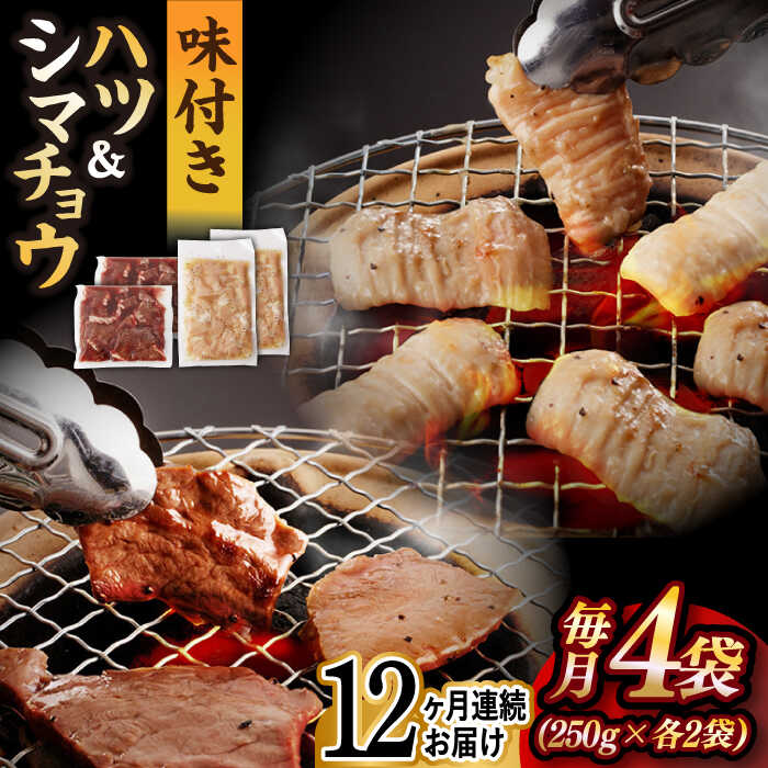 【ふるさと納税】【全12回定期便】【塩だれ】九州産和牛 ホルモン2種 計1kg（ ハツ 250g×2袋・ シマチョウ 250g×2袋） 長与町/岩永ホルモン [EAX137] 国産肉 ホルモン ミックス 小分け 味付き 冷凍 焼肉 焼き肉 和牛