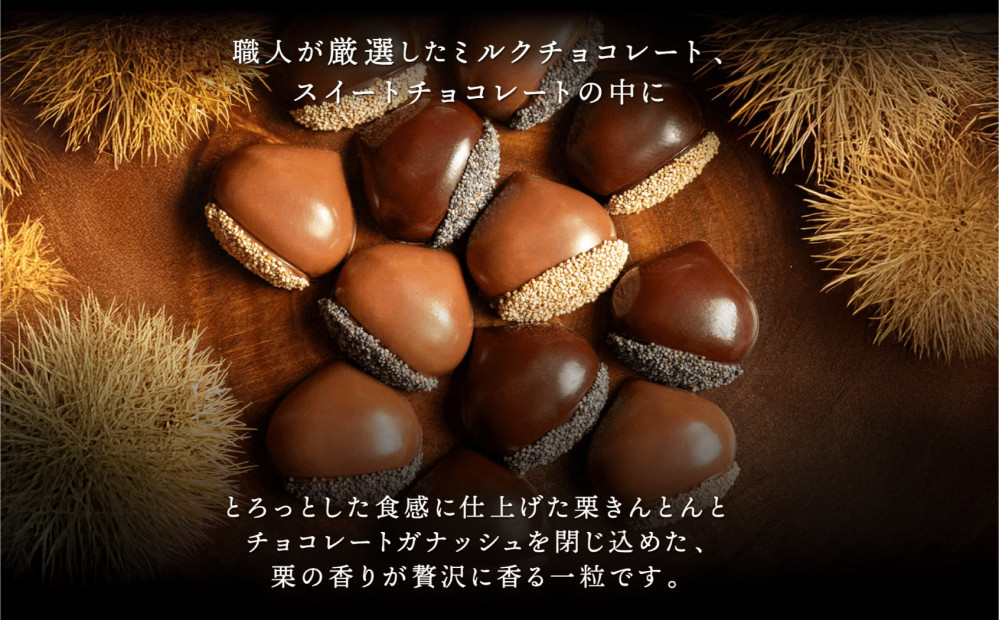 栗りん 【11月上旬から順次発送】まるで栗のような贅沢チョコレート「 ぜいたく一粒 栗きんとんちょこら 」栗きんとん × チョコレート プレゼント スイーツ ギフト 栗きんとん チョコ 送料無料 お取