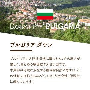  【創業100年】匠がつくる羽毛合い掛けふとん（シングル）ブルー 羽毛布団 寝具 掛けふとん 布団 匠
