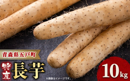 ＜青森県五戸町特産＞長芋　10kg【1017943】