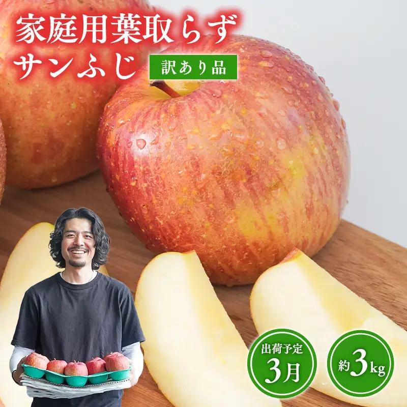 りんご サンふじ 訳あり 約3kg [hi-0009-018-3]