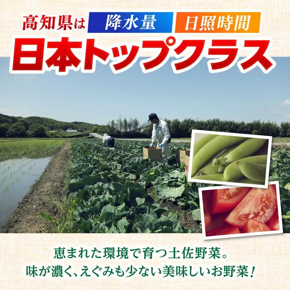 【3回定期便】 土佐の太陽をいっぱいに浴びた旬の野菜セット小 (3回配送) / 野菜 高知【土佐野菜】 [ATBA005]