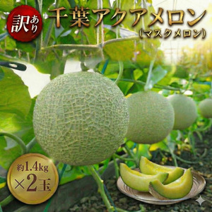 【約1.4kg×2玉】訳あり千葉アクアメロン（マスクメロン）大玉