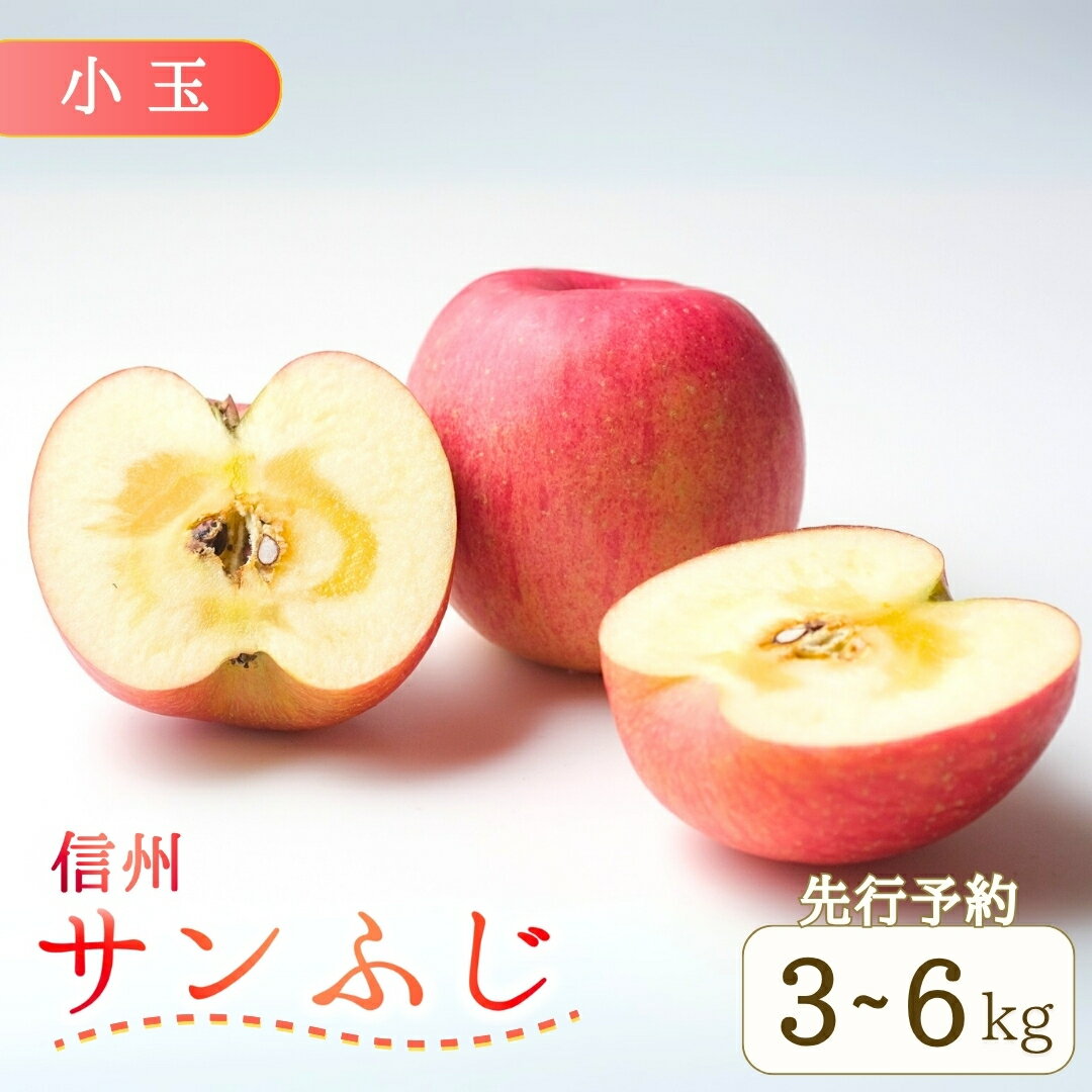 【ふるさと納税】 【2025年先行予約】 りんご サンふじ 小玉 約3~6kg 果物 フルーツ 長野県産 千曲市 信州 さんふじ サンフジ 林檎 リンゴ 特産品