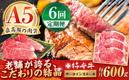 【6回定期便】サーロインステーキ 600g AMBW025 サーロインステーキ定期便 サーロインステーキ定期便 サーロインステーキ定期便 サーロインステーキ定期便 サーロインステーキ定期便
